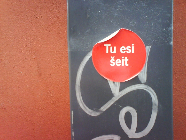 2009_LV_LT_SV_D 175